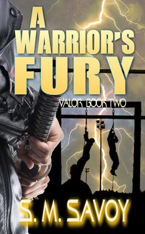 Book cover of A Warrior's Fury