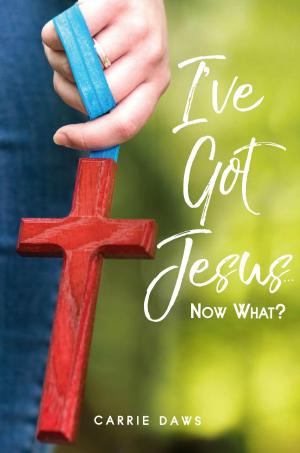 Book cover of I've Got Jesus ... Now What?