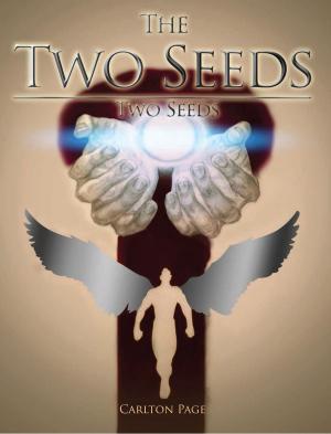 Cover of the book The Two Seeds by J.D. M.B.A. Phillips