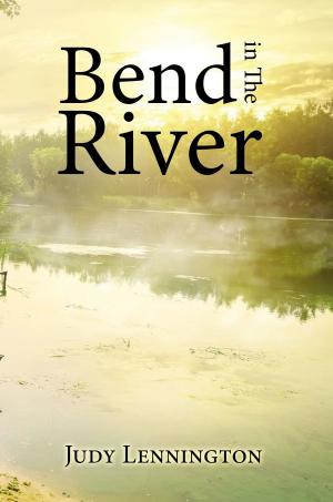 Book cover of Bend in The River