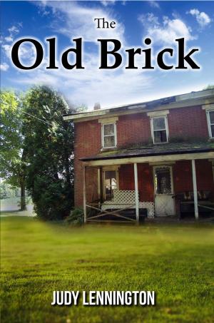 Cover of the book The Old Brick by Rimaletta Ray Ph.D.