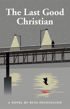 Cover of the book The Last Good Christian by Vanessa Kier