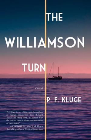 Book cover of The Williamson Turn