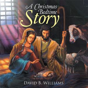Cover of the book A Christmas Bedtime Story by Jay T. Harvey