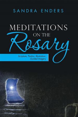 Cover of the book Meditations on the Rosary by D. E. Didymus