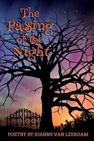 Cover of the book The Passing Of The Night by R.R. McCoy