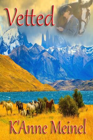 Cover of the book Vetted by Cindy Jahn