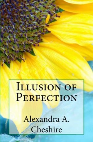 Cover of the book Illusion of Perfection by Rohvannyn Shaw