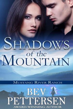 Book cover of Shadows of the Mountain