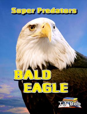 Book cover of Bald Eagle