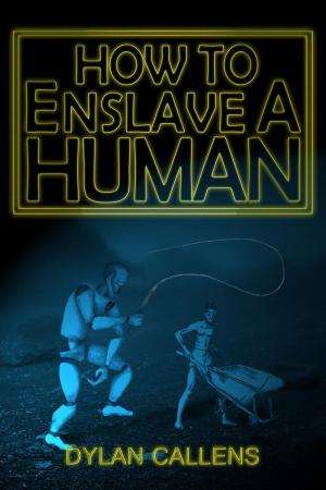 Cover of the book How to Enslave a Human by Laure Arbogast