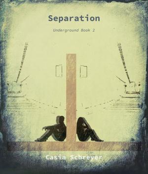 Book cover of Separation
