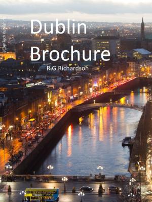 Cover of the book Dublin Brochure by R.G. Richardson