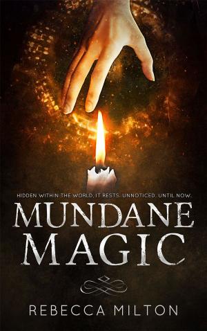 Cover of the book Mundane Magic by Charles de Lint