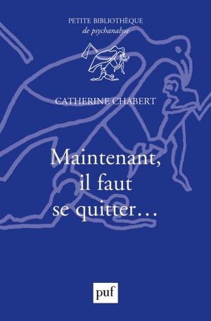 Cover of the book Maintenant, il faut se quitter... by Michel Feuillet