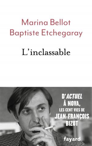 Cover of the book L'inclassable by Patrick Artus, Marie-Paule VIRARD