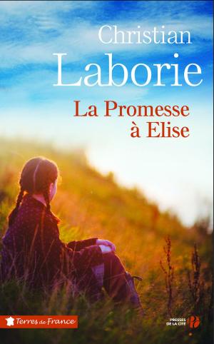 Cover of the book La promesse à Elise by Gilles LAPOUGE