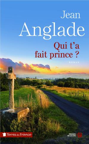 Cover of the book Qui t'a fait prince? by Luc FERRY