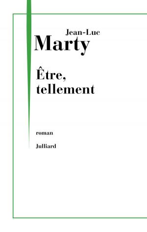Cover of the book Être, tellement by Vincent DULUC
