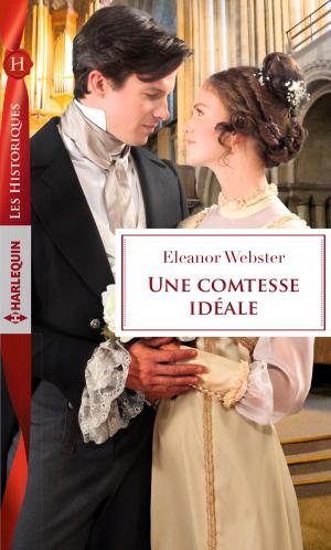 Book cover of Une comtesse idéale