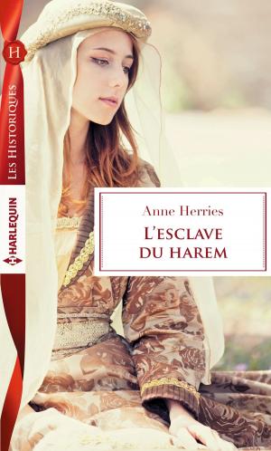 Cover of the book L'esclave du harem by Sandra Marton