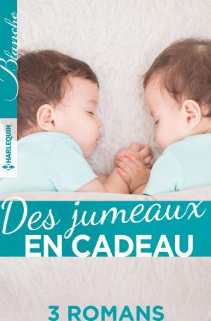 Cover of the book Des jumeaux en cadeau by Eve Borelli