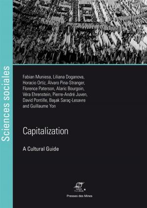 Cover of the book Capitalization by Antoine Hennion, Sandrine Barrey, Geneviève Teil, Pierre Floux