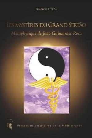 Cover of the book Les mystères du Grand Sertão by Florence Belmonte