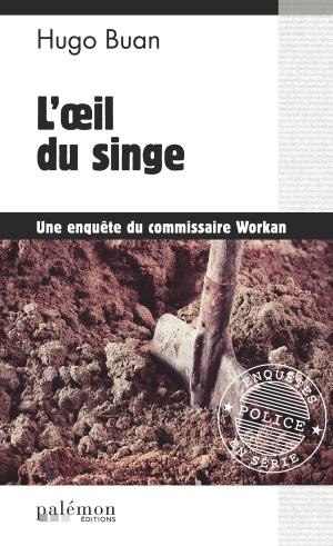 Book cover of L'œil du singe