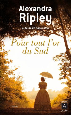 Cover of the book Pour tout l'or du Sud by James Patterson