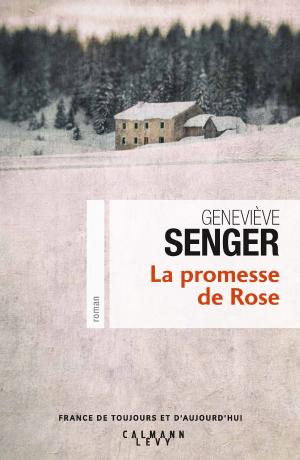 Cover of the book La Promesse de Rose by Michel Peyramaure