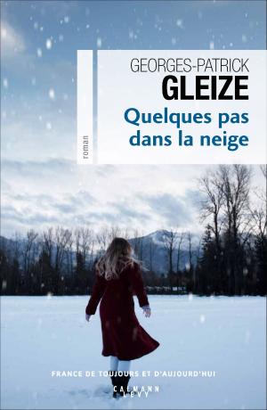 Cover of the book Quelques pas dans la neige by Cécile Pivot