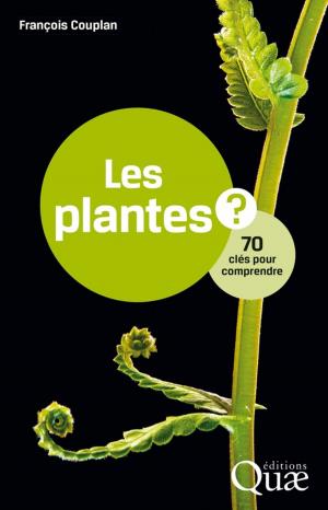 Cover of the book Les plantes by Sylvie Huet, Emmanuel Jolivet, Antoine Messéan