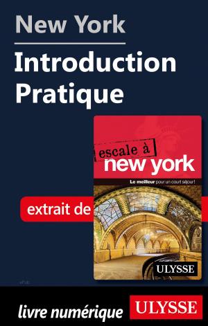 Book cover of New York - Introduction Pratique