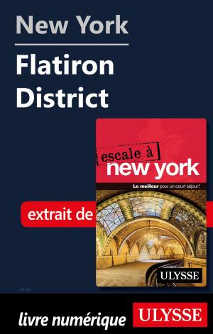 Cover of the book New York - Flatiron District by François Picard, Cécile Clocheret