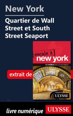 Cover of the book New York Quartier de Wall Street et South Street Seaport by Jean-Hugues Robert