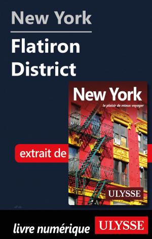 bigCover of the book New York - Flatiron District  by 