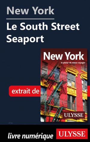 Cover of the book New York - Le South Street Seaport by Jérôme Delgado
