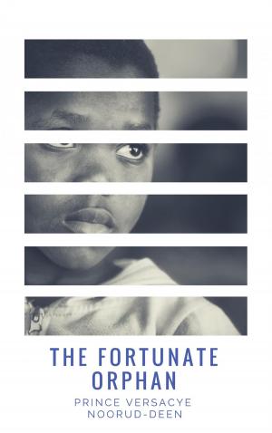 Book cover of The Fortunate Orphan