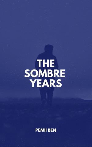 Cover of the book The Sombre Years by Abiodun Awodele
