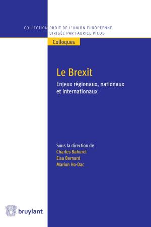 Cover of the book Le Brexit by Jocelyn Guitton, Michel Barnier