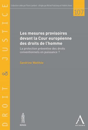 Cover of the book Les mesures provisoires devant la Cour européenne des droits de l'homme by Isabelle Lutte (dir.), Collectif