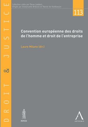 Cover of the book Convention européenne des droits de l'homme et droit de l'entreprise by Johan Vanden Eynde