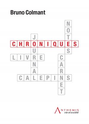 Cover of the book Chroniques by Fabienne Kéfer