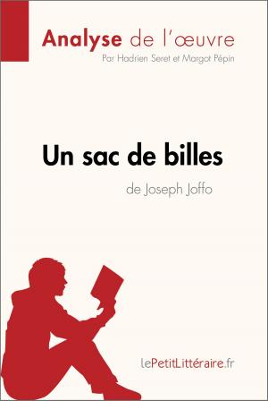 Cover of the book Un sac de billes de Joseph Joffo (Analyse de l'oeuvre) by Dominique Coutant-Defer, lePetitLittéraire.fr