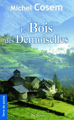 Cover of the book Le Bois des demoiselles by Karine Lebert