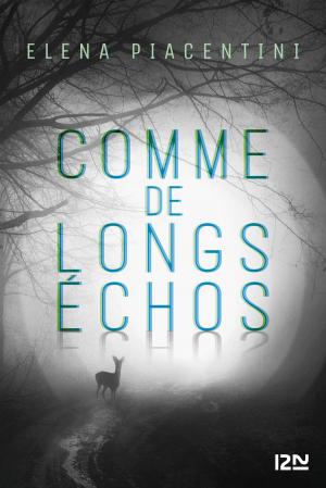 Cover of the book Comme de longs échos by Sébastien GENDRON