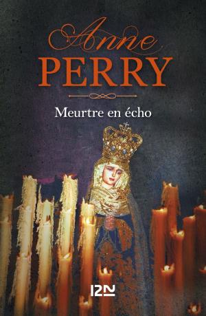 Cover of the book Meurtre en écho by Ezra Barany