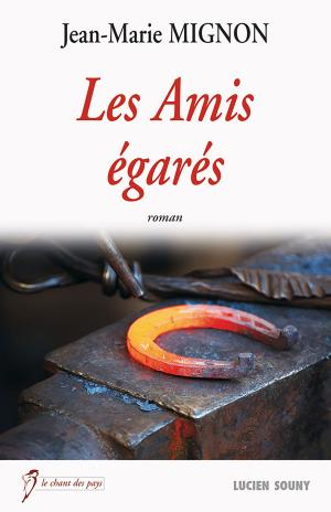 Cover of the book Les Amis égarés by Pierre Rétier