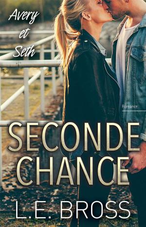 Cover of the book Seconde chance, Avery et Seth by Megan Mitcham